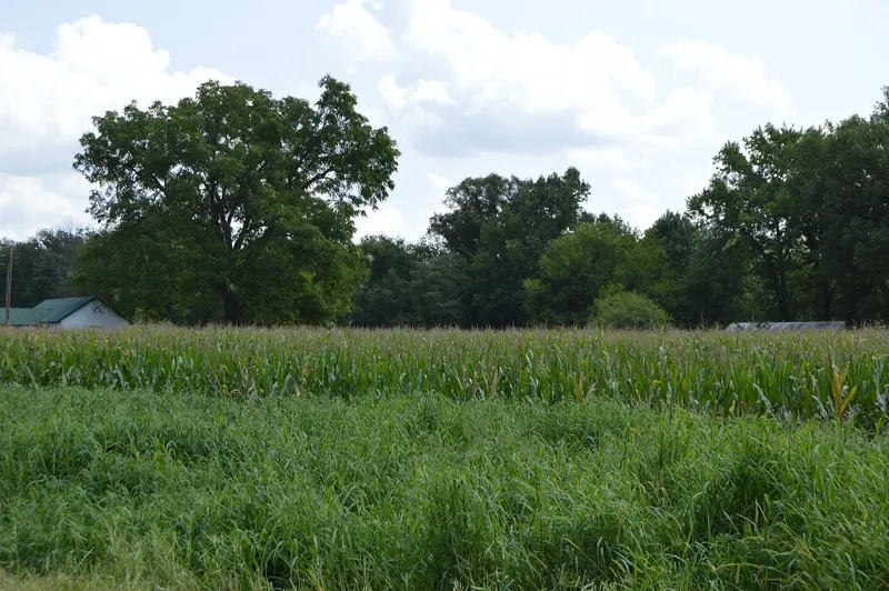 Fields in Chantilly, Virginia